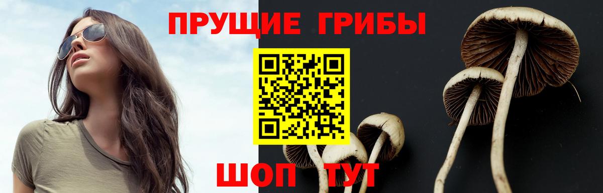 Псилоцибиновые грибы MAGIC MUSHROOMS Южно-Сахалинск